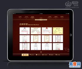 精湛的技術，優秀的服務 深圳軟件開發公司的卓越之道